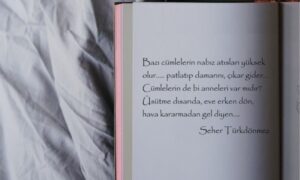 CÜMLELER